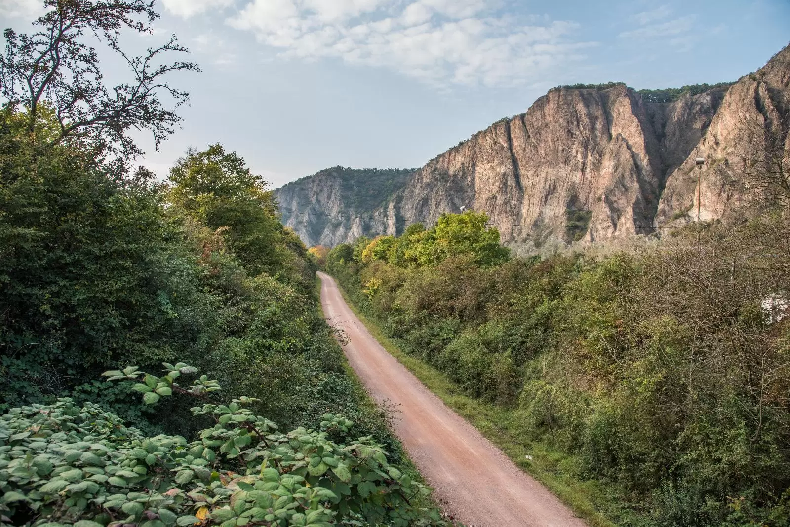 Rotenfels