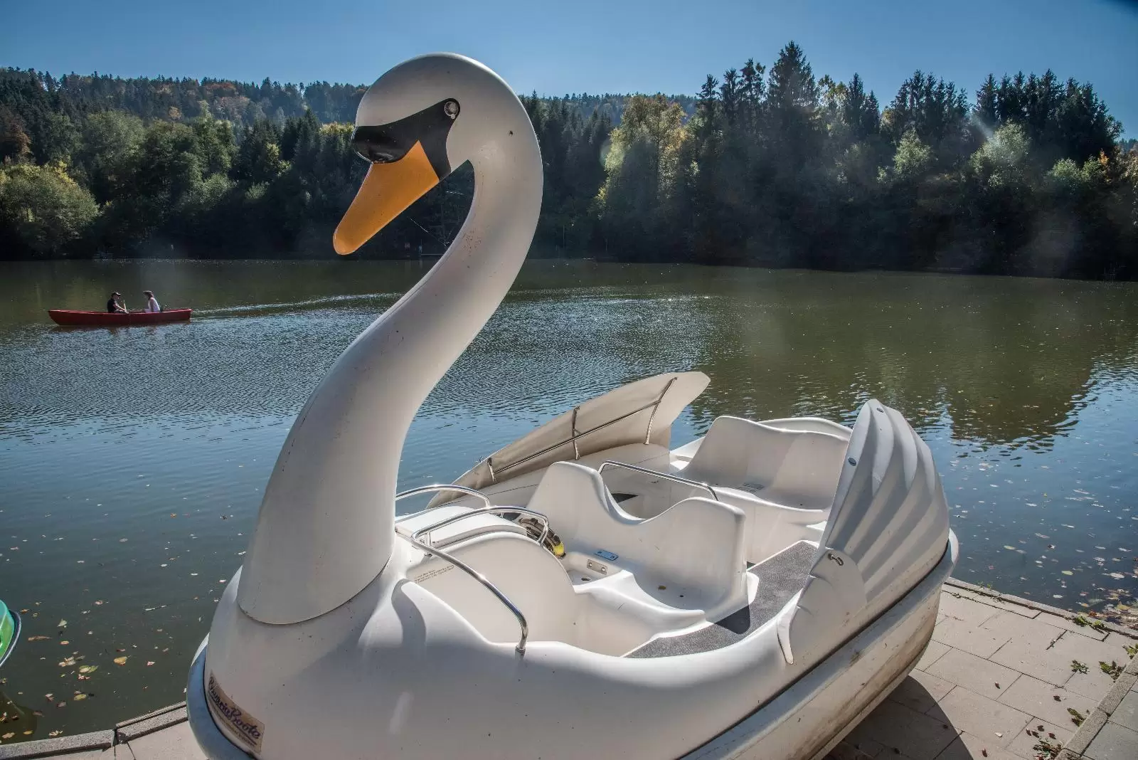 Fornsbach Forest Lake